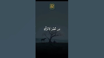 ❤️  تلاوة جميلة ارح سمعك بها سيد سعيد #quran #تلاوة #اجر #سيد_سعيد