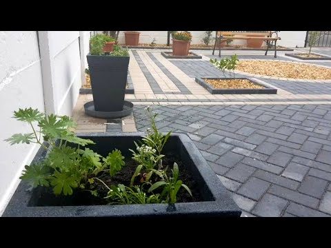 Planting my patio containers with Geraniums, Petunias, Alyssum and Lobelias hqdefault