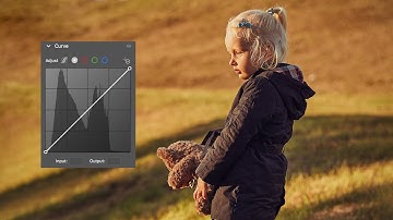 Curve Panel in Camera RAW