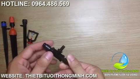 Hướng dẫn lắp tê nối 2 đầu ống ra 1 đầu 6mm trơn gắn béc tưới cây tự động