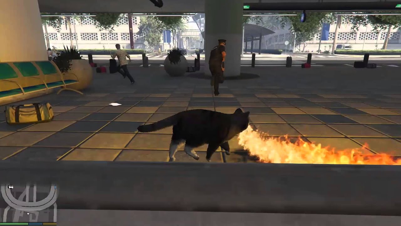 Gtaオンライン でチーターによって猫に変えられてしまったプレイヤーがかわいそうすぎると話題にｗｗｗｗ はちま起稿