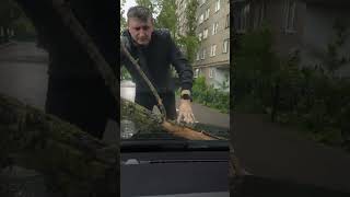 жесть! Ураган в Воронеже срывал деревья.