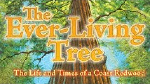 THE EVER-LIVING TREE THE LIFE AND TIMES OF A COAST REDWOOD Journeys Read Aloud 4th Grade Lesson 23 - DayDayNews