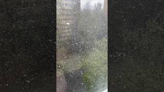 Снег в Питере 7 мая ❄️