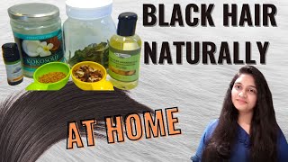Turn White Hair to Black Hair naturally and permanently at home|Turn Hair Black Natural Oil in Tamil
