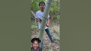 The hand-forged hatchet can easily cut down large trees #logging #logcuts #cuttingtrees