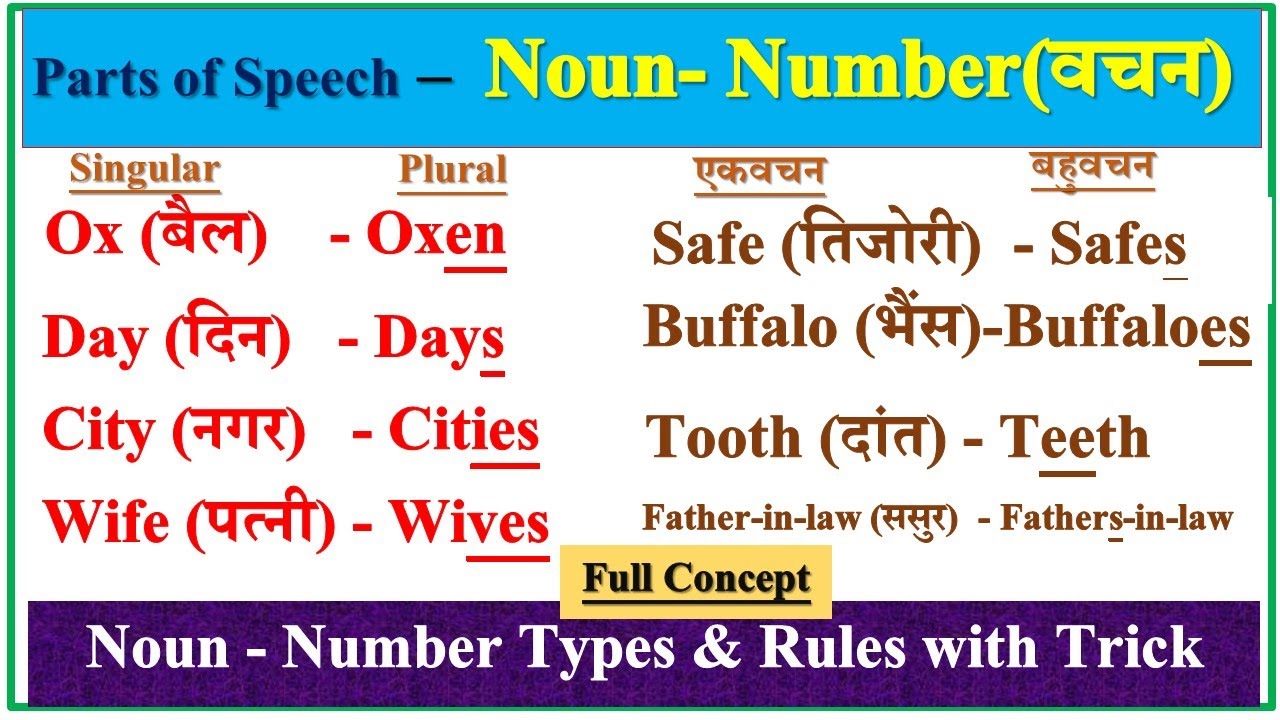 The Noun Number Singular and Plural Number in English Noun Number