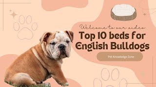Top 10 beds for English Bulldog | Top 10 beds for English Bulldog Explained | Pet Knowledge Zone by Pet Knowledge Zone 49 views 1 year ago 2 minutes, 36 seconds