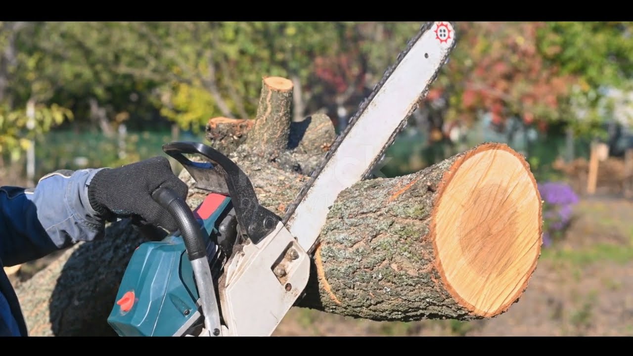 Chainsaw Mastery : A Practical Guide to Tree cutting