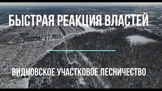 О Порядках В Видновских Лесах