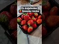 Çilek 🍓#shortsvideo #shortvideo #shortsviral #shorts #short #youtubeshorts #youtube #ytshorts #yt