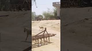 mobile camera me ked video viral #new #funny #comedy