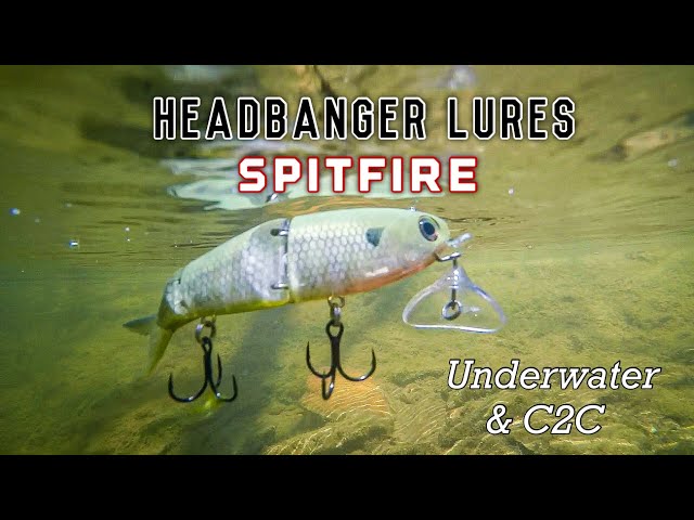 Headbanger Lures Spitfire - Insane Topwater Action!! Underwater footage +  Cast to Catch Bass 