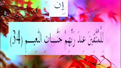 القران الكريم سورة القلم الاية 34.wmv