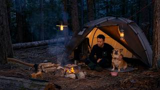 Wild Camping with My Dog | Campfire Cooking & Relaxing Forest Escape