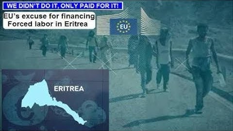 DIDN’T DO IT, ONLY PAID FOR IT: EU’s alibi for financing forced labor in Eritrea