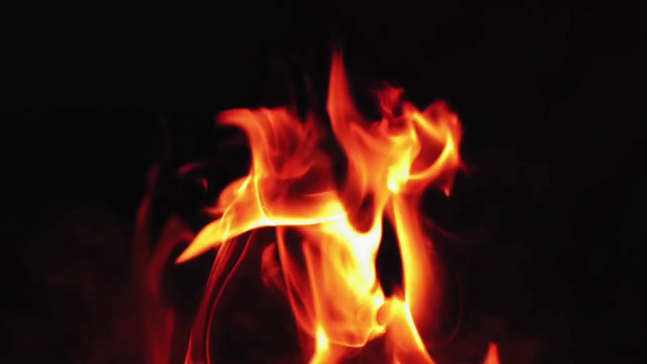 Cash [Mark Karan, Scott Guberman, Angeline Saris, Jeremy Hoenig]