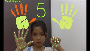 Chương trình Finger Counter bằng Python & OpenCV