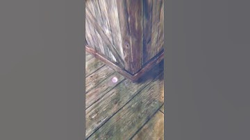 Valve Index Display Defect