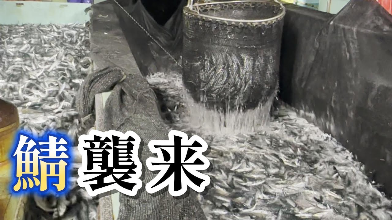 季節が変わって入って来た