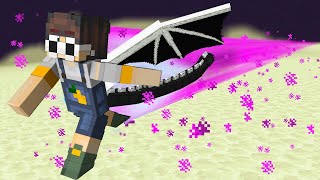 Minecraft But There Are Custom Sprints