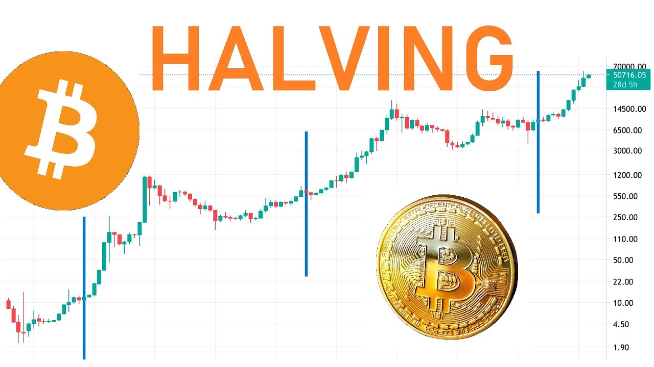Qué es el HALVING de BITCOIN? CICLOS de 4 AÑOS