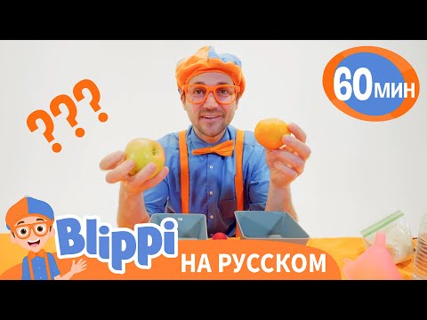 Песня “Что Тяжелее?” | Обучающие Песни для детей | Blippi Russian