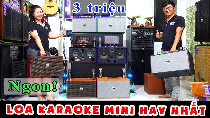 Loa Karaoke Mini Hay Nhất Trong Tầm Giá 3 Triệu Loa Xách Tay Công ...