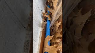 Can pex pipe freeze and burst?