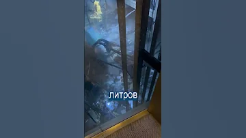 Лопнул самый большой в мире аквариум на 1 млн литров