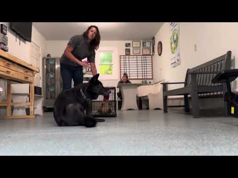 Related Embedded Video Item Thumbnail