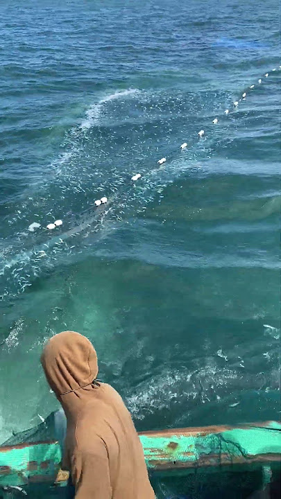 yang kedua kali ribuan ikan sarden nyangkut dijaring kmdolar pandean #nelayanpinggiran