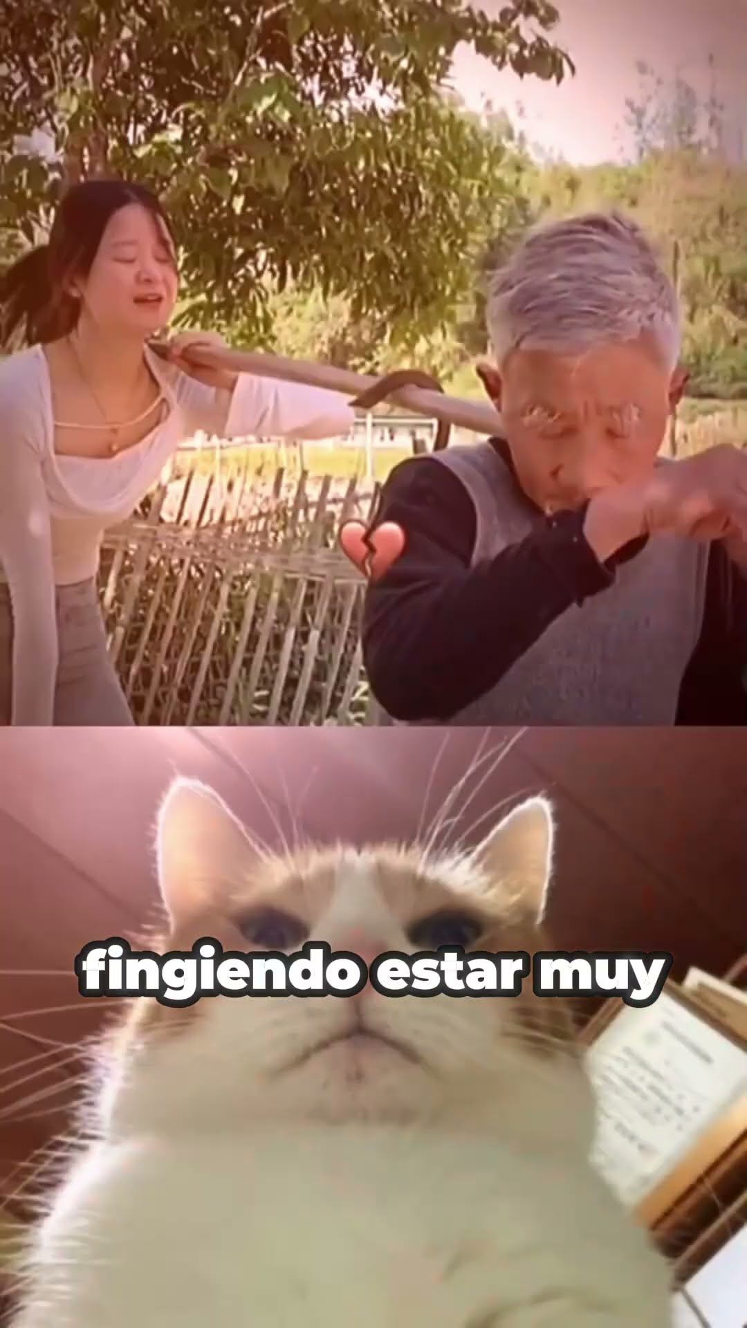 La MEJOR ayuda?