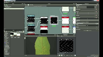 Procedural Leaf Creation In Substance Designer