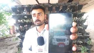 Bovine smuggling attempt foiled in Jammu, 8 bovines rescued
