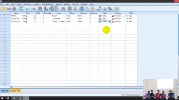 Cara membuat diagram pie menggunakan spss