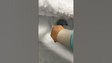 Freezer Frost Scrapping and Eating | Humidifier Frost Build Up Scrapping  ASMR | #satisfying #asmr