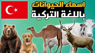 اسماء الحيوانات باللغة التركية ?? الدرس الاول تعليم اللغه التركيه