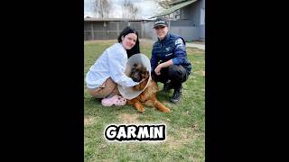 Jedziemy razem z 💙UNIA LESZNO 💙 | Emil Konieczny i zwierzaki do adopcji