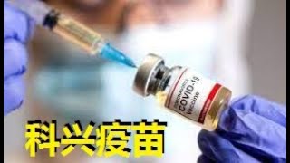 科兴疫苗会造成 ADE 抗体依赖性感染加剧效应？科兴疫苗会让感染冠状病毒的病情加剧？那么数亿剂科兴疫苗打了不就等于白打？看看医学专家说得对不对。请把视频看到最后，才能明白本频道的立场 😉😊