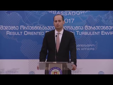 პრესკონფერენცია ამბასადორიალის შედეგების შესახებ