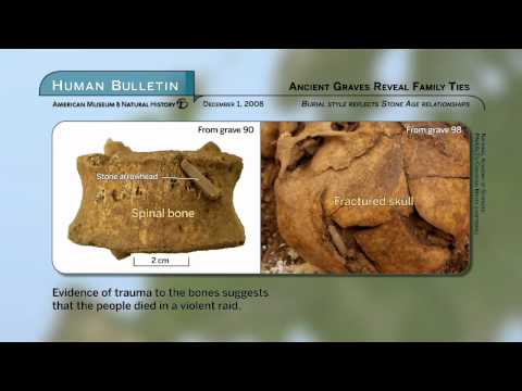 Science Bulletins: Ancient