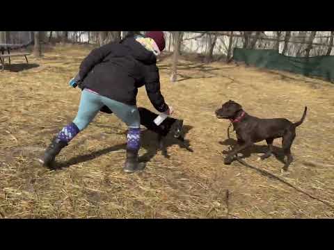 Playgroup: Eucalyptus + Rook + Charades 