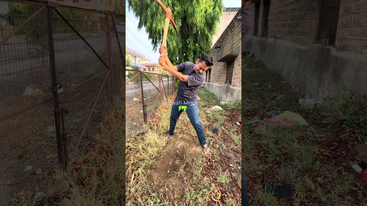 Plantation Day #plantation
