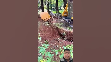 Máy di chuyển cây cảnh rất tiện lợi#shorts #tintuc #youtube #caycanh #xuhướng