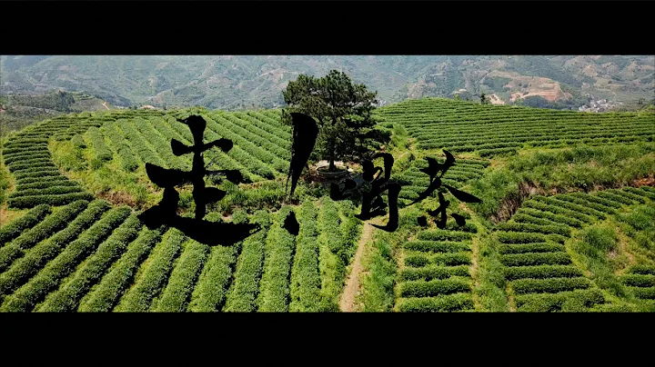 「Enjoy the Tea!」 - Chinese Tea Culture Documentary - 天天要聞