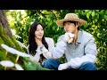 A Workaholic City Girl Falls For The Grumpy Farmer She Once Hated The Most