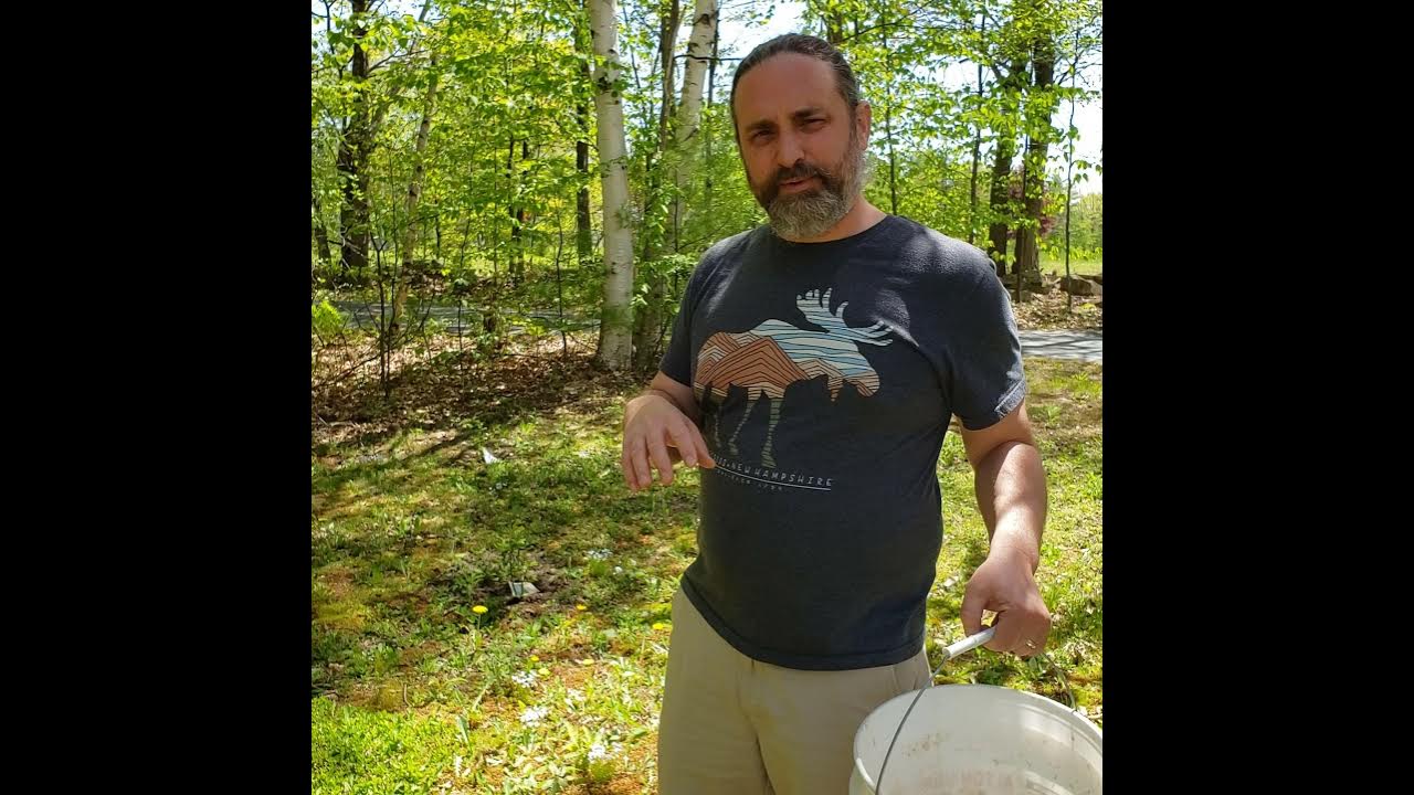 Adding Coffee Grounds to Your Blueberries YouTube