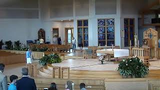 What Solomon's Wisdom and Jesus' Parables Teach Us About True Treasure