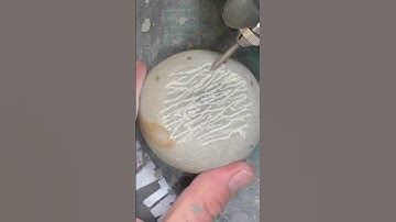 A rare fossil find - clues on the outside #fossil #science #rare